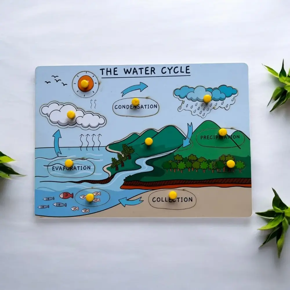 The Water Cycle Board – Educational Science Learning Board for Kids | Interactive Weather & Nature Concept Toy