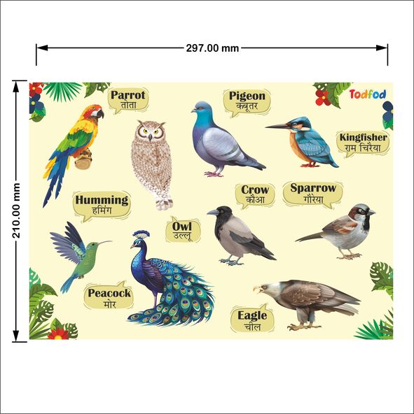 Todfod Wooden Jigsaw Puzzles - Birds Characters for Kids
