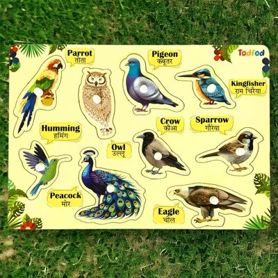 Todfod Wooden Jigsaw Puzzles - Birds Characters for Kids